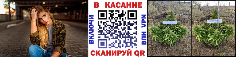 Как найти закладки Ряжск Амфетамин  Мефедрон  ГАШИШ  Каннабис  МЕТАДОН  COCAIN 