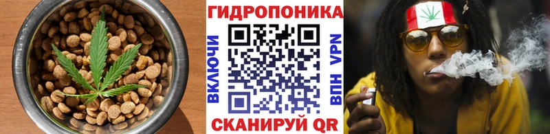ссылка на мегу зеркало  где найти наркотики  Ряжск  Еда ТГК конопля 