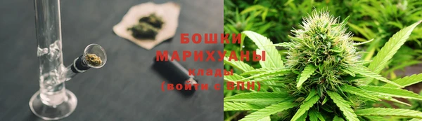 прущие грибы Нея